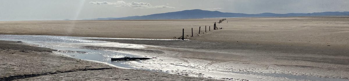 Toz And Other Salty Words